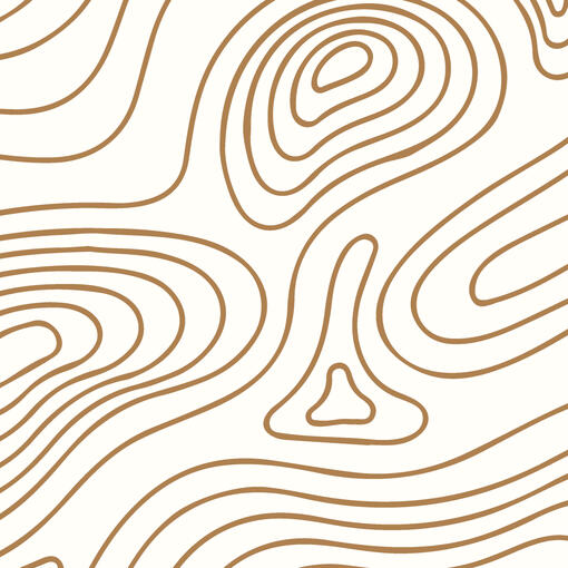 Logotipo de Biotopos Arquitectura, estudio de arquitectura bioclimática y bioconstrucción especializado en Colón y la Costa Caribeña de Panamá.